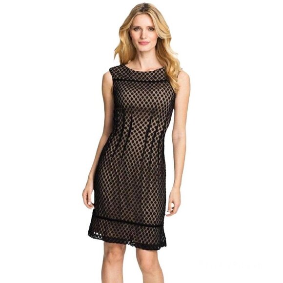 Adrianna PAPELL Sleeveless Dot Lace Shift Dress size US 8 - Picture 1 of 9